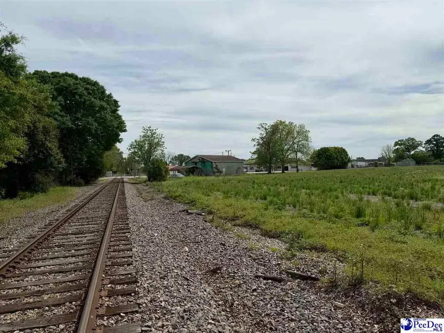 TBD Walnut Street, Dillon, SC 29536 - #3