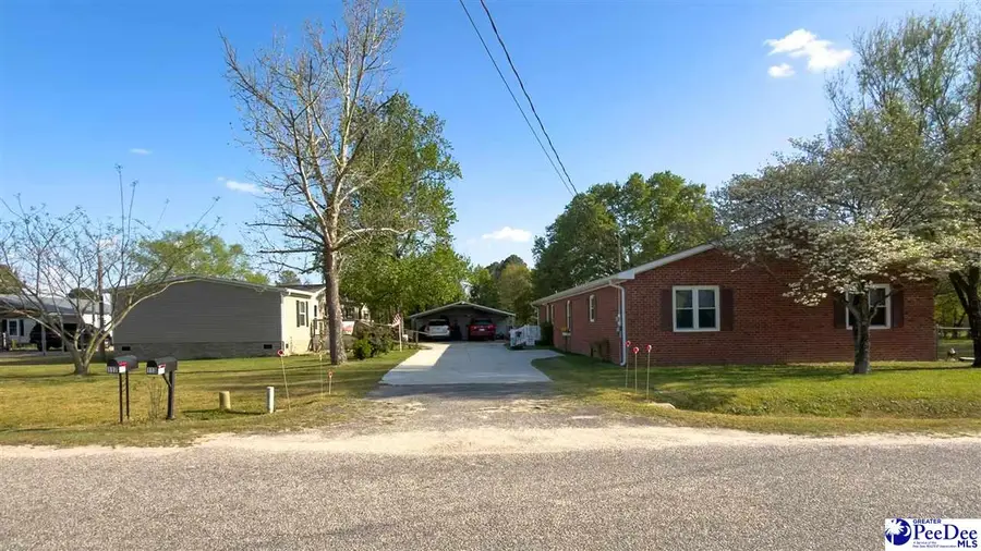 113 Dudley Drive, Lamar, SC 29069 - #3