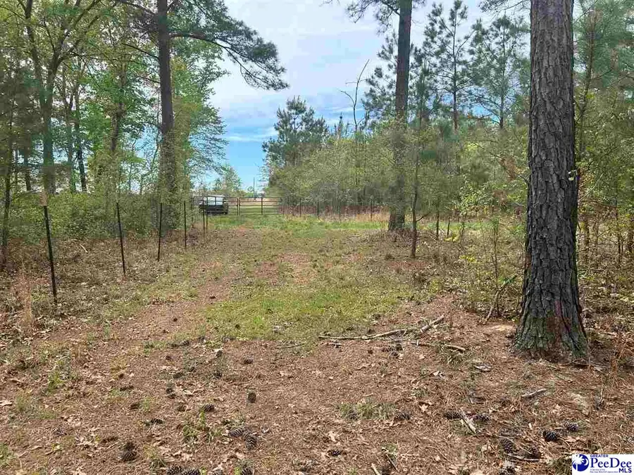 2886C Stephens Rd, Bethune, SC 29009-9626 - #3