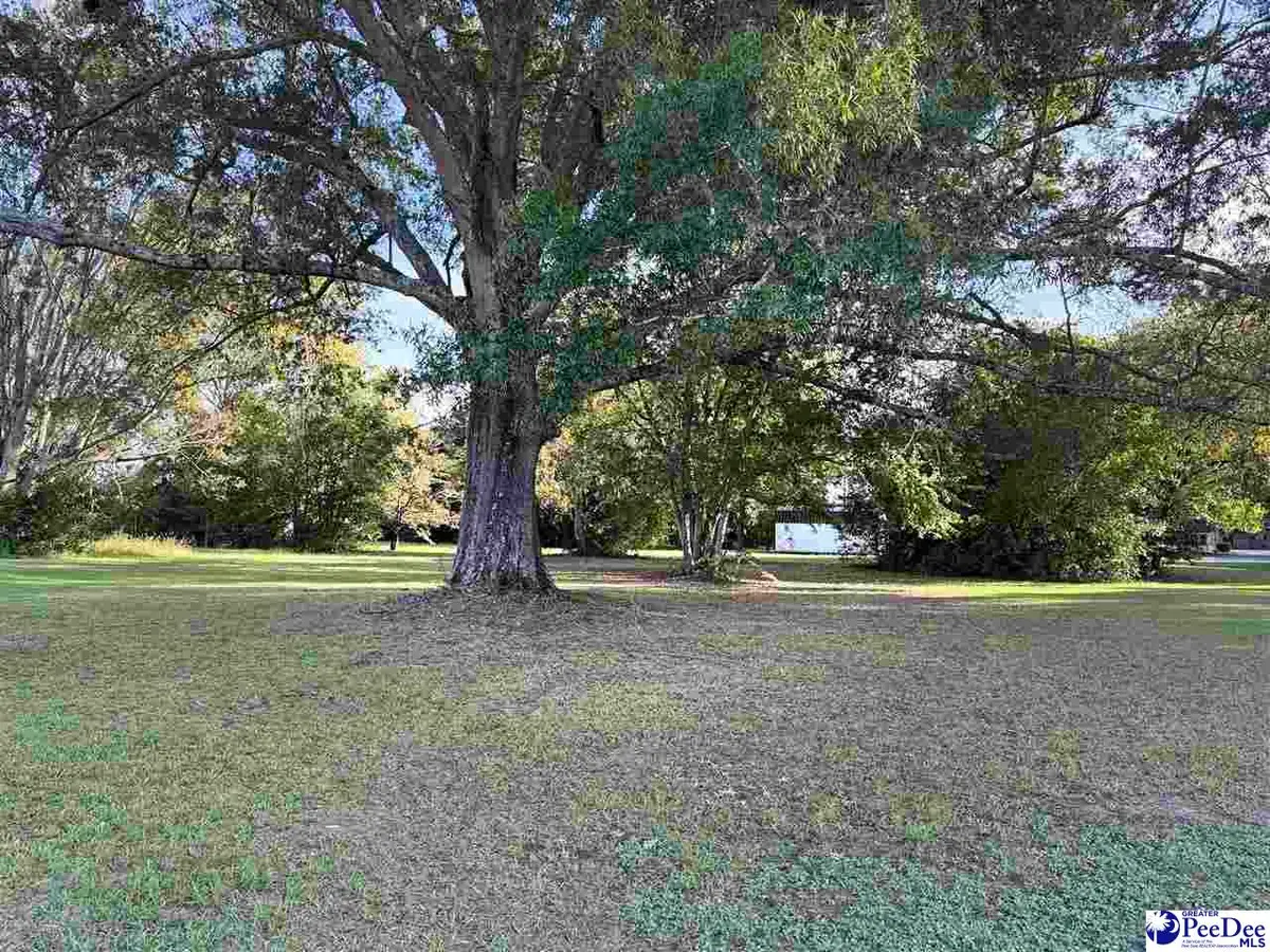 920 E Godbold Street, Marion, SC 29571 - #1