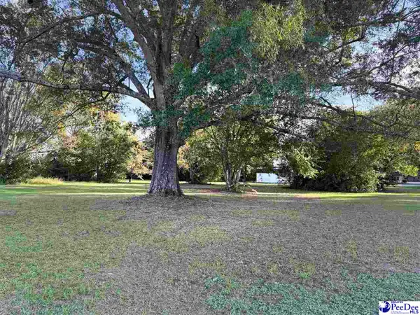 920 E Godbold Street, Marion, SC 29571