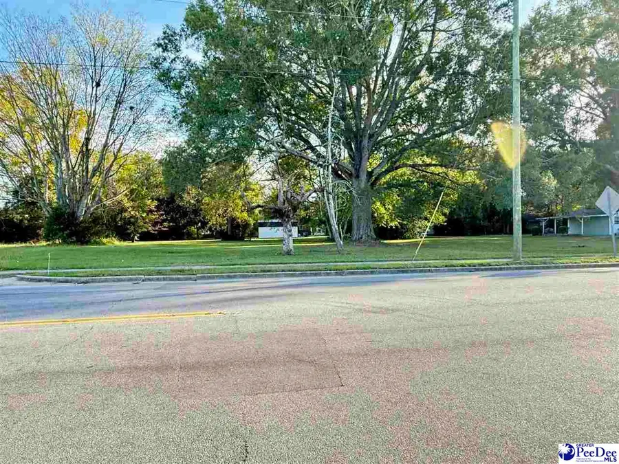 920 E Godbold Street, Marion, SC 29571 - #2