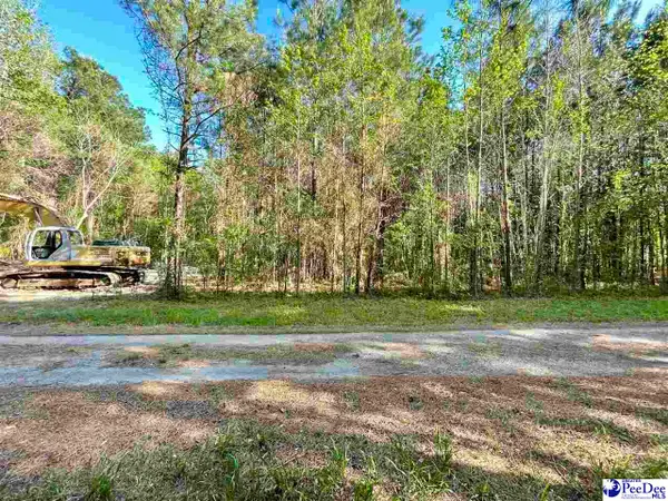 TBD Beth Dr, Conway, SC 29527