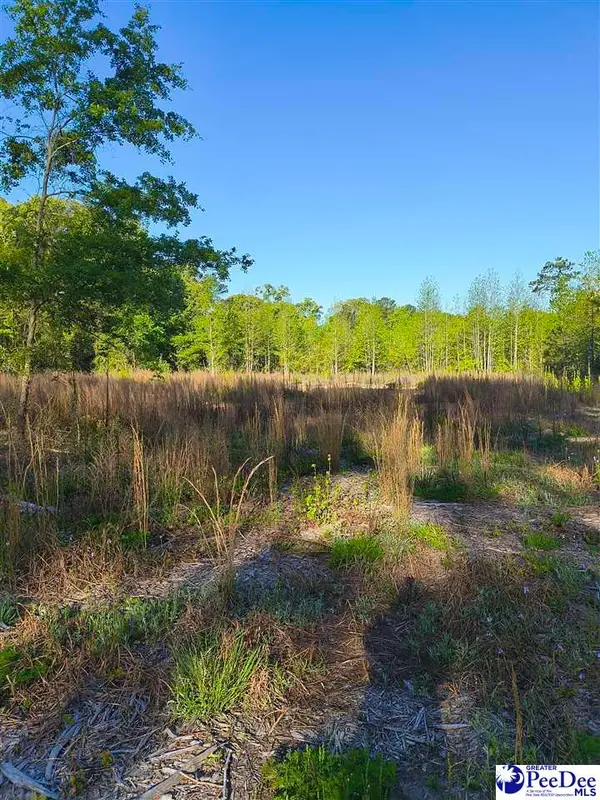 1200 Whippoorwill Rd, Hartsville, SC 29550