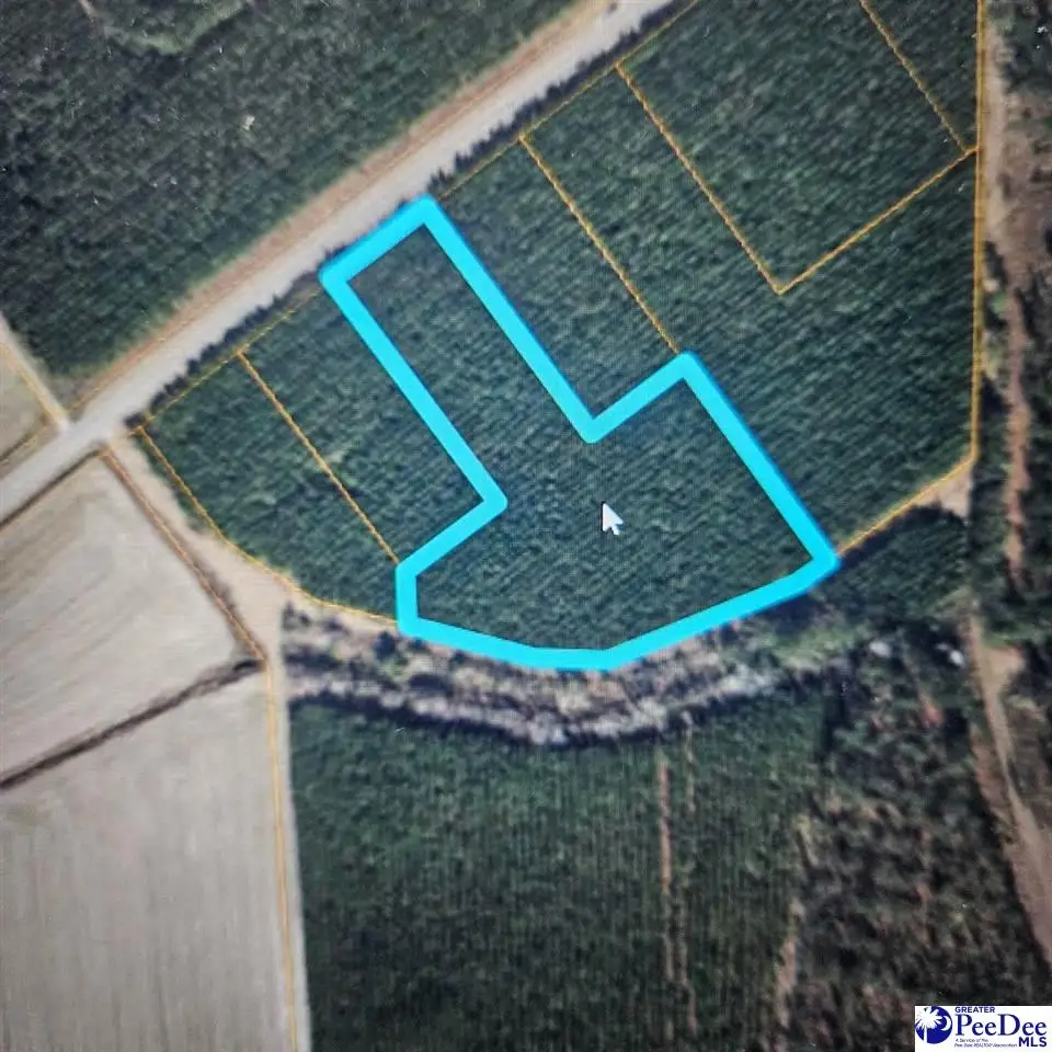 TBD Hwy 45, Loris, SC 29569 - #1