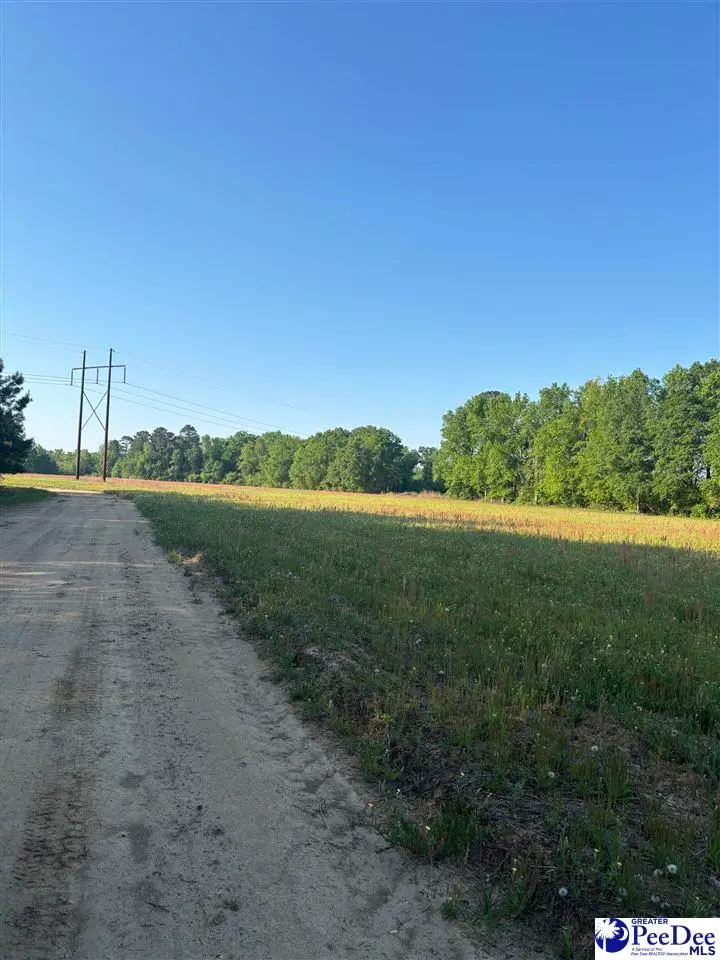 TBD Tobacco Land Road, Dillon, SC 29536 - #2