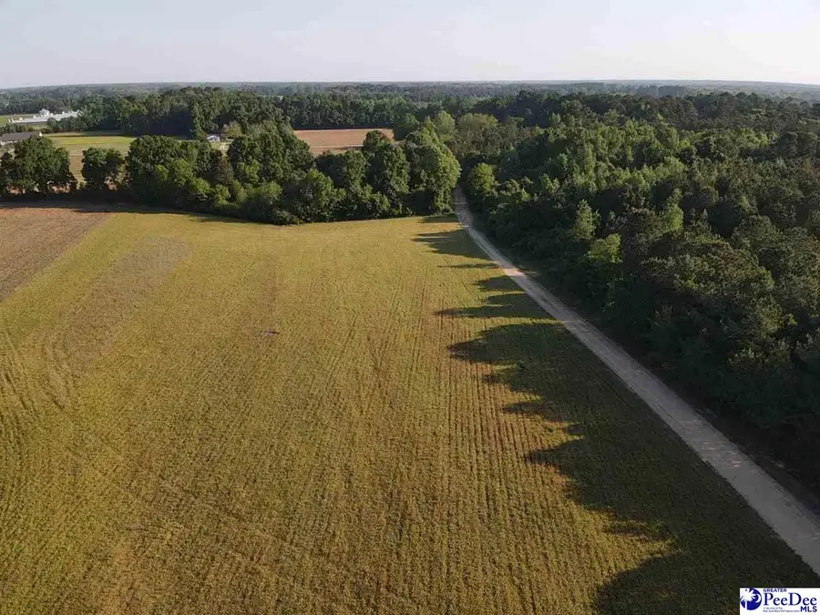 TBD Tobacco Land Road, Dillon, SC 29536 - #3