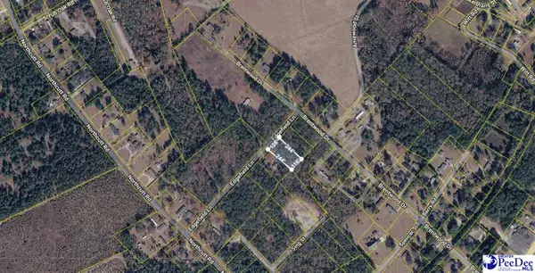 TBD Edgefield Drive, Lydia, SC 29079