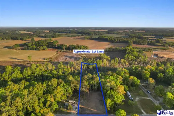 Lot 29 Bronco Road, Darlington, SC 29532