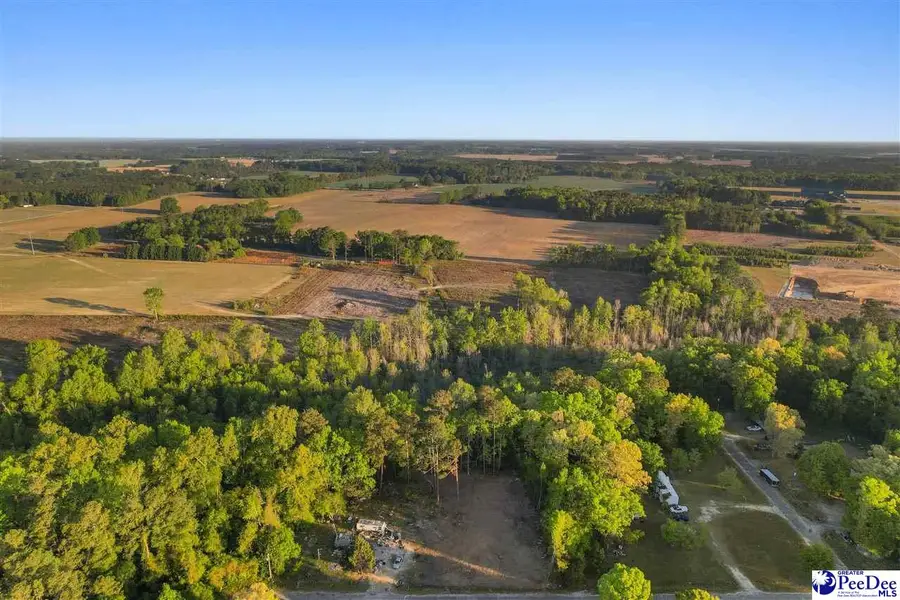 Lot 29 Bronco Road, Darlington, SC 29532 - #2