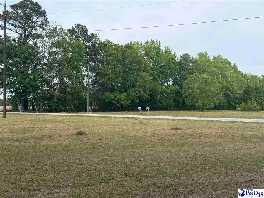 1004 N Center Road, Hartsville, SC 29550-7566 - #2