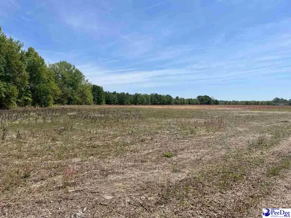 MTA 2 Judson Rd, Dillion, SC 29567