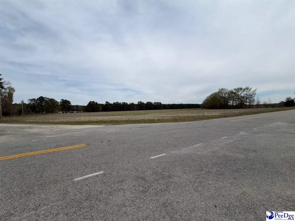 MTA 3 Judson Rd, Dillon, SC 29567 - #1