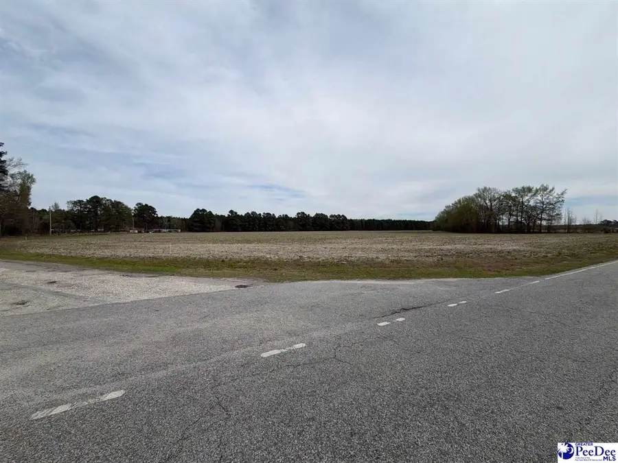 MTA 3 Judson Rd, Dillon, SC 29567 - #3
