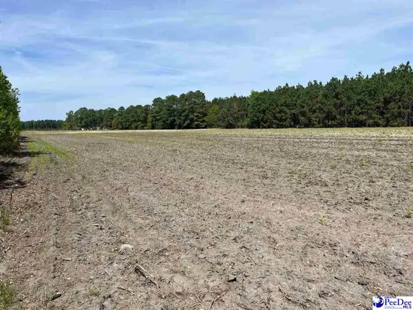 MTA 4 Heustess Rd, Dillion, SC 29567