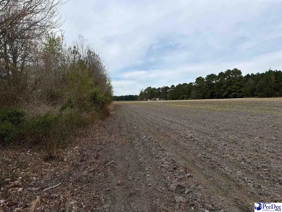 MTA 4 Heustess Rd, Dillon, SC 29567 - #2
