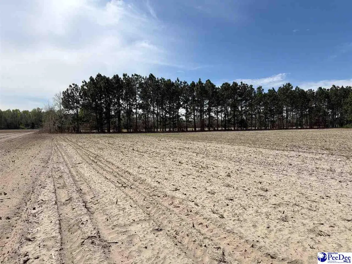 MTA 5 Heustess Rd, Dillon, SC 29567 - #1