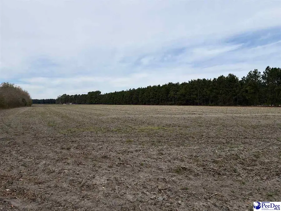 MTA 5 Heustess Rd, Dillon, SC 29567 - #2