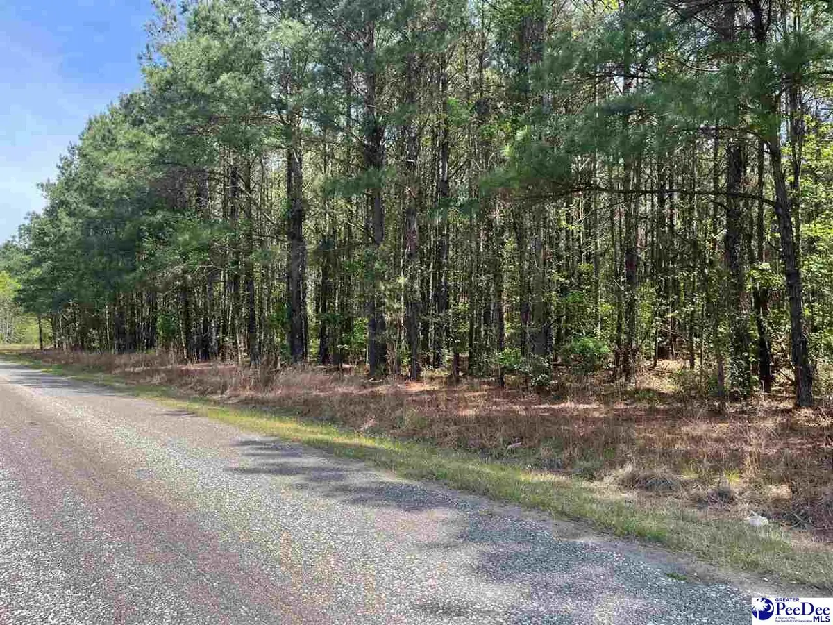 MTA 7 Heustess Rd, Dillon, SC 29567 - #1