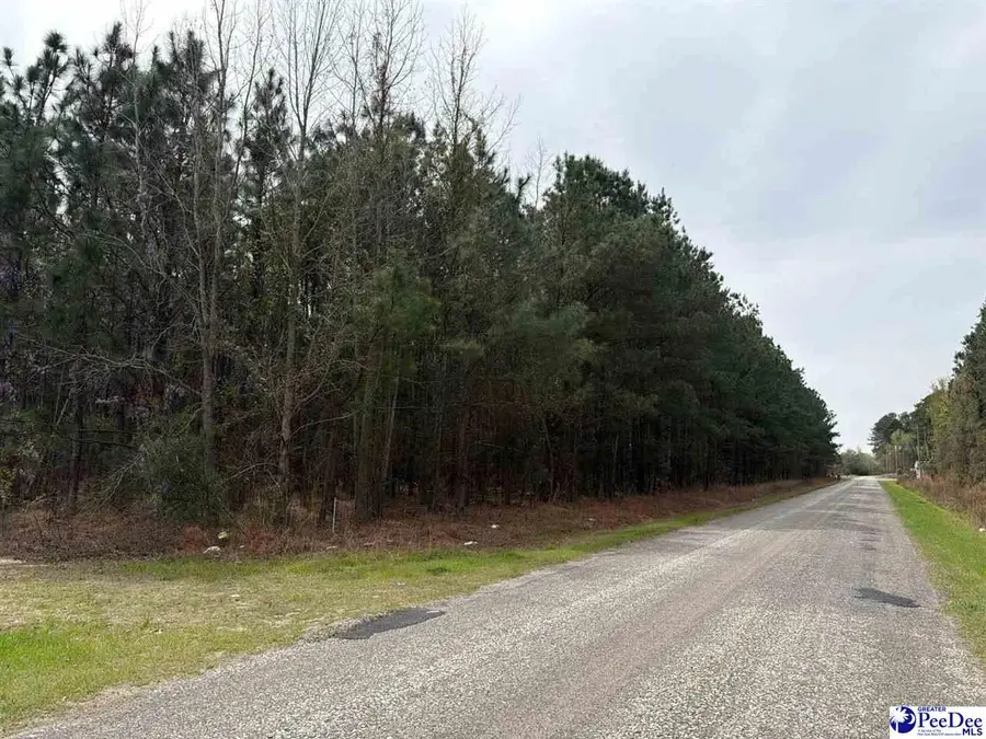 MTA 7 Heustess Rd, Dillon, SC 29567 - #2