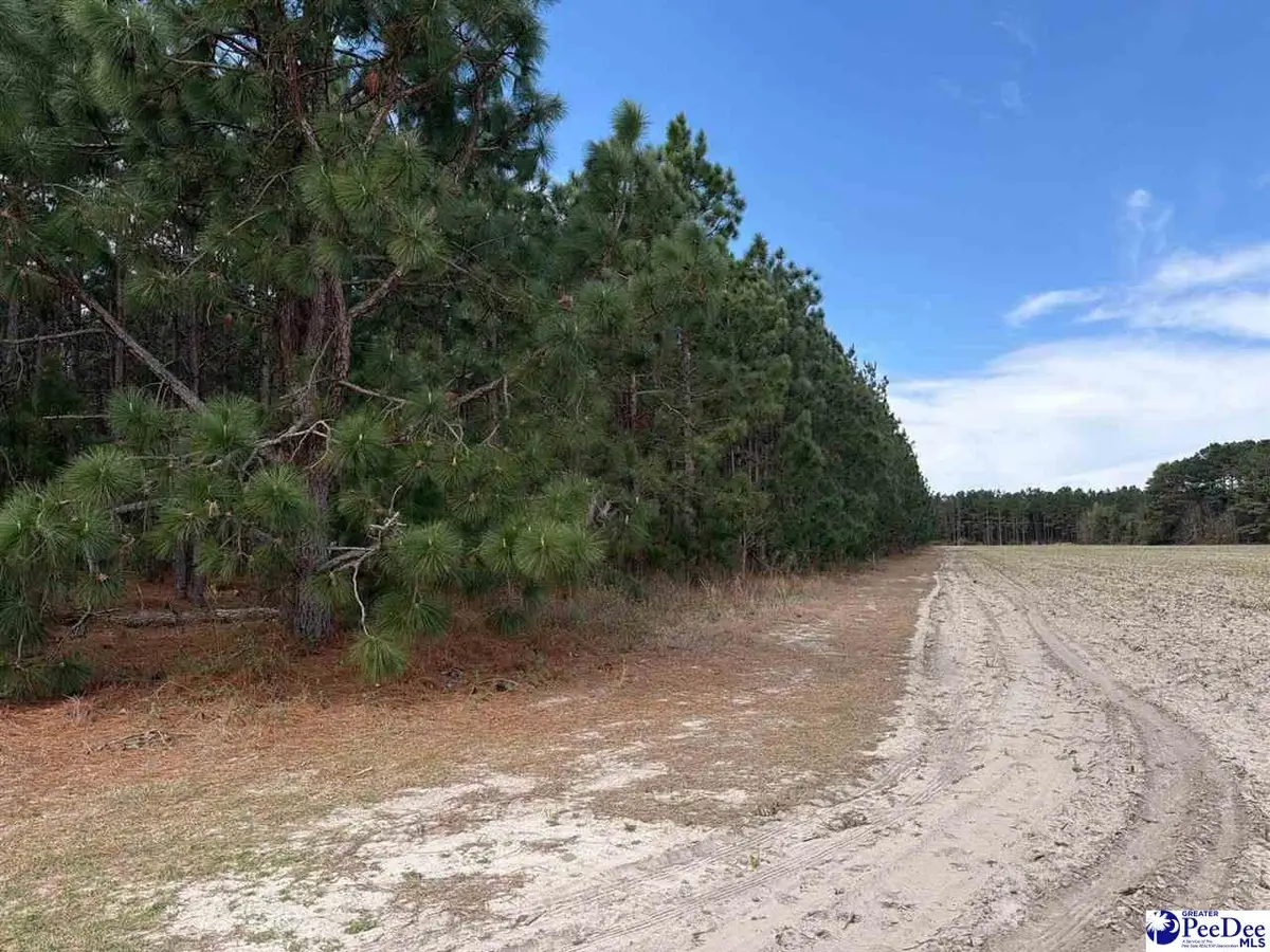 MTA 8 Heustess Rd, Dillon, SC 29567 - #1