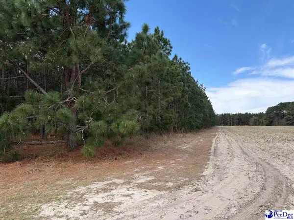 MTA 8 Heustess Rd, Dillion, SC 29567