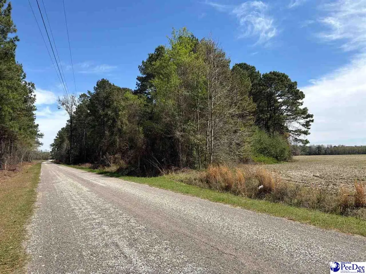 MTA 10 Heustess Rd, Dillon, SC 29567 - #1