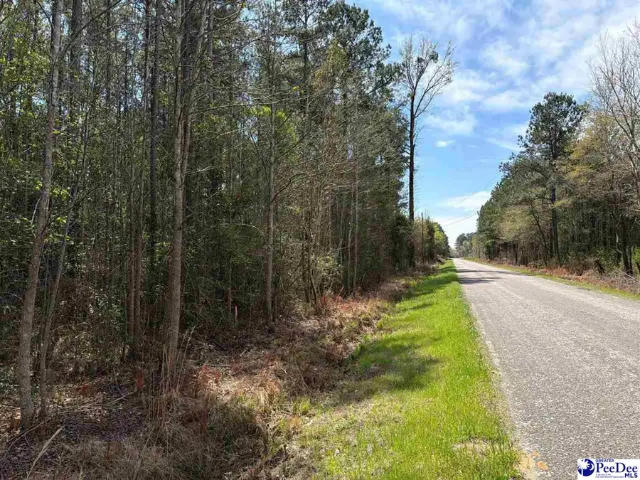 MTA 10 Heustess Rd, Dillon, SC 29567 - #3