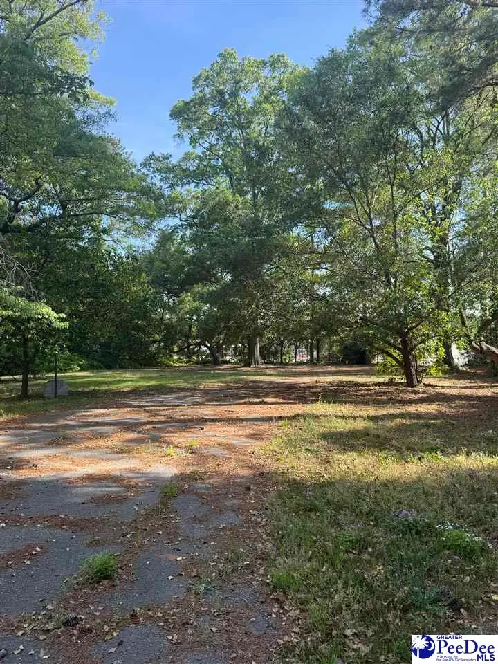 406 E Main St, Chesterfield, SC 29709 - #3