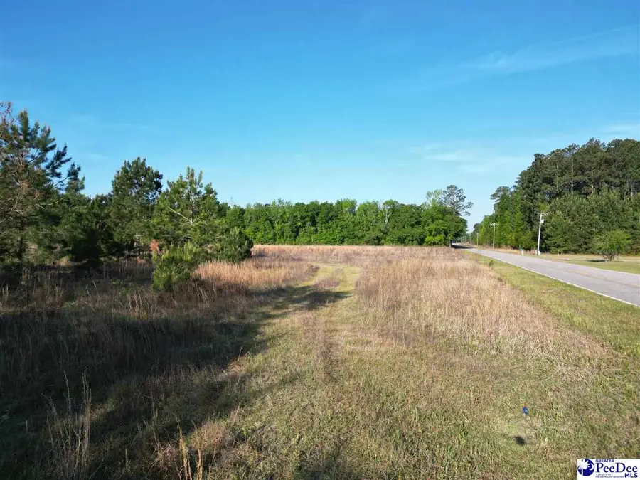 20.35 Acres Mineral Springs St, Lamar, SC 29069 - #2