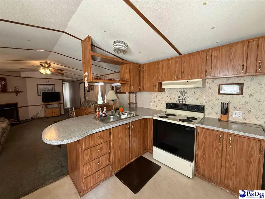 152 Quail Run, Cheraw, SC 29520 - #3