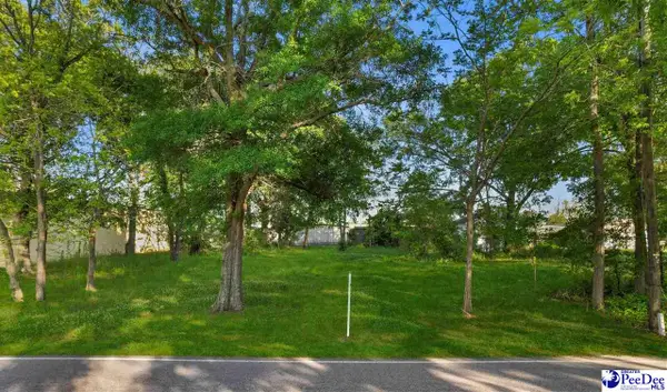 406 Martin Luther King Jr. Blvd, Dillon, SC 29536