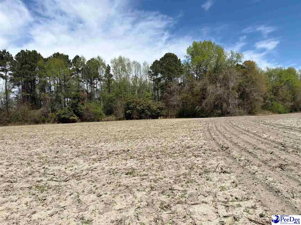 MTA 11 Heustess Rd, Dillon, SC 29567 - #1