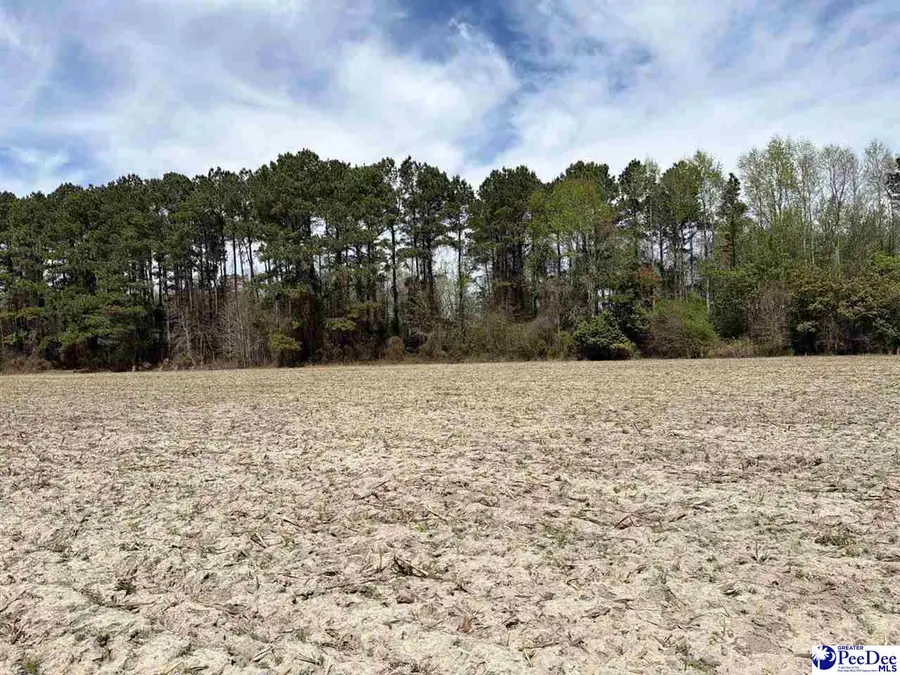 MTA 11 Heustess Rd, Dillon, SC 29567 - #2