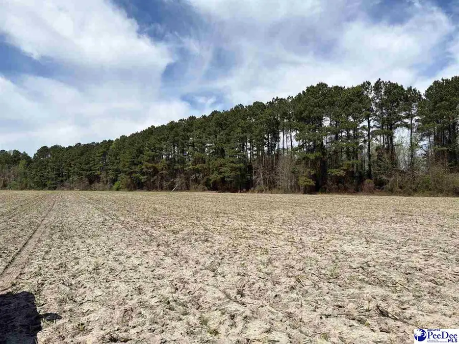 MTA 11 Heustess Rd, Dillon, SC 29567 - #3