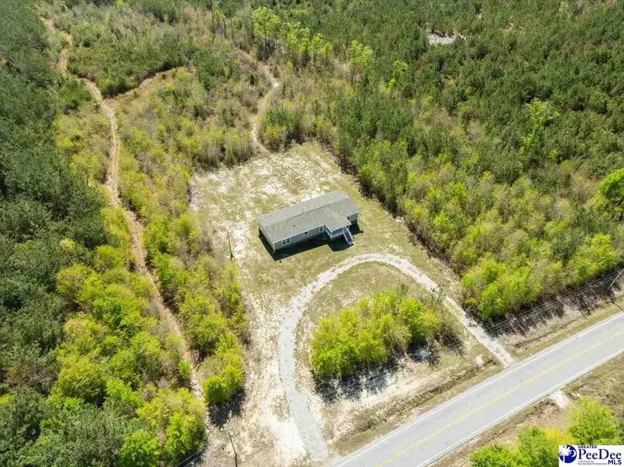 4210 Aaron Temple Church Rd, Bennettsville, SC 29512-0000 - #3