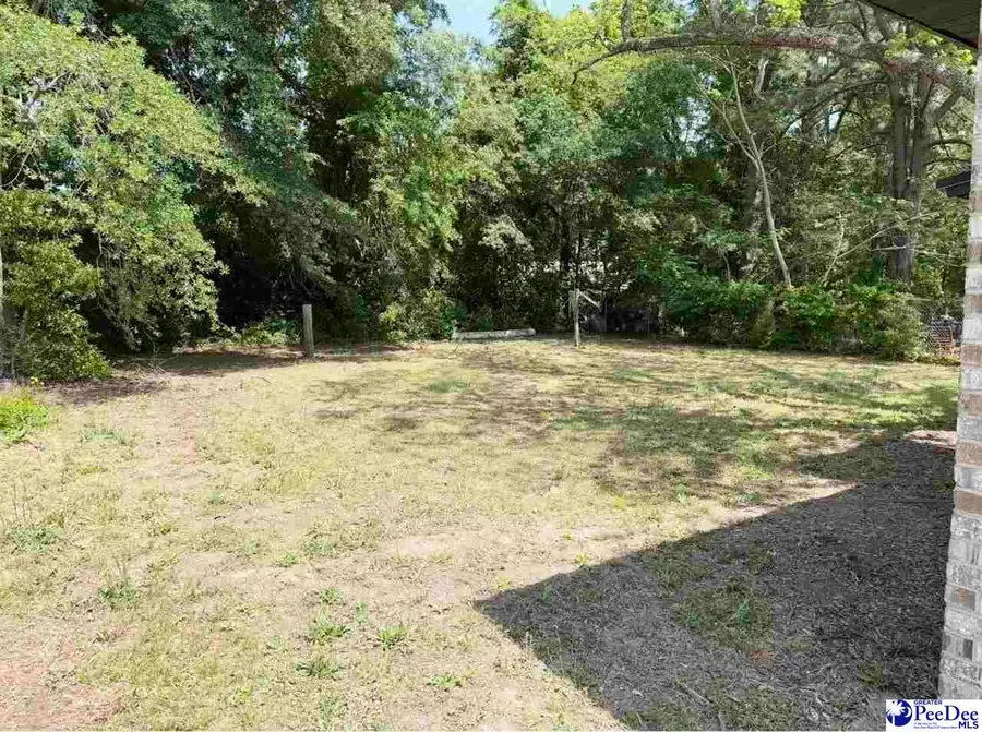 316 Dickson Heights, Marion, SC 29571-4214 - #2