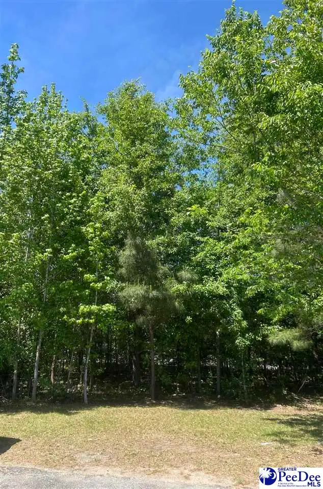 2516 E Highway 76 (a Portion Of), Marion, SC 29571 - #1