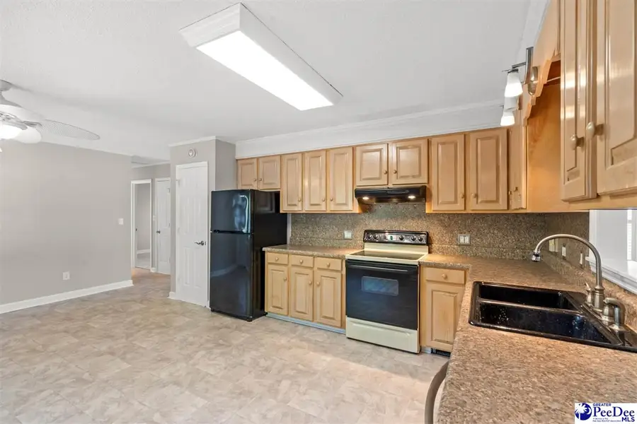 736 Millers Rd, Mullins, SC 29574 - #3