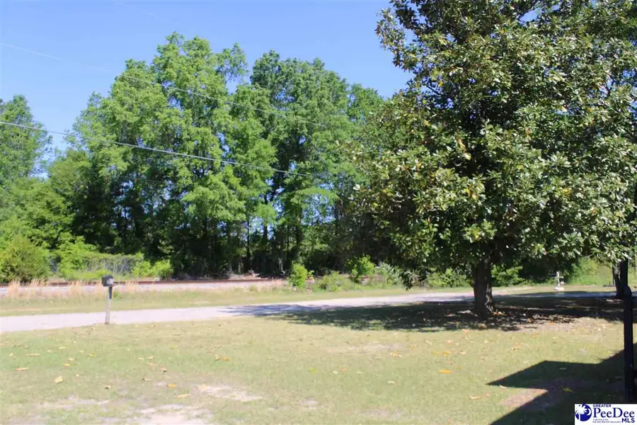 1391 Shaw Dr, Hartsville, SC 29550 - #3