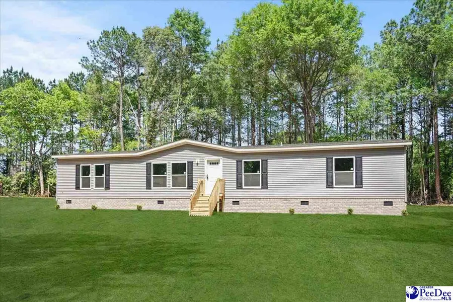 3653 Flat Creek Rd, Darlington, SC 29532 - #2