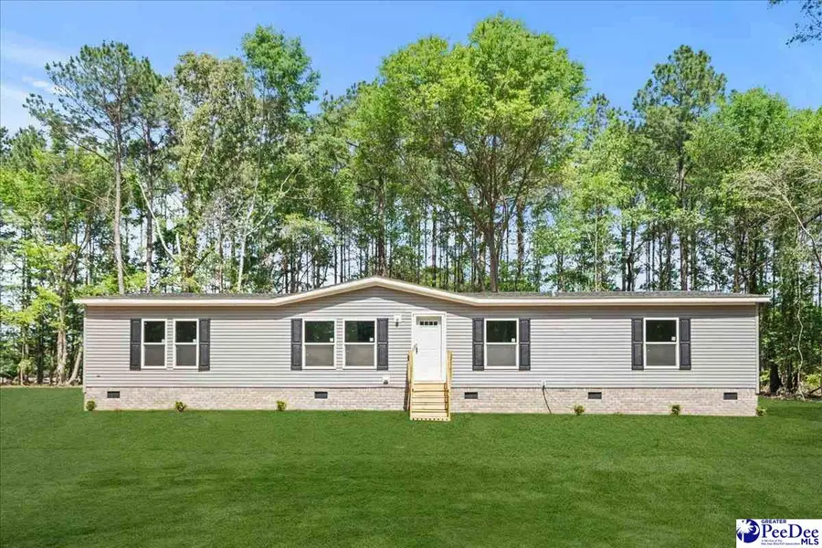 3653 Flat Creek Rd, Darlington, SC 29532 - #3