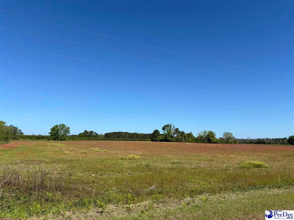 TBD Hemingway Hwy, Hemingway, SC 29554 - #1
