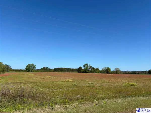 TBD Hemingway Hwy, Hemingway, SC 29554