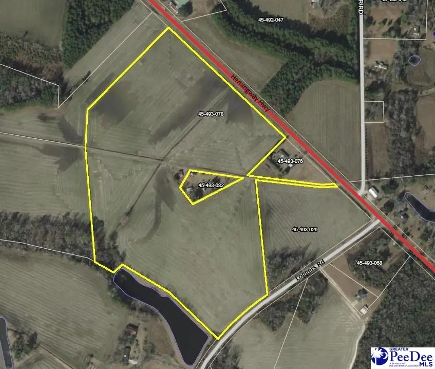 TBD Hemingway Hwy, Hemingway, SC 29554 - #2