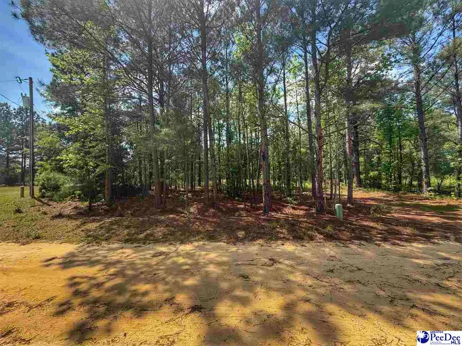 TBD Zachary Court, Latta, SC 29565 - #2