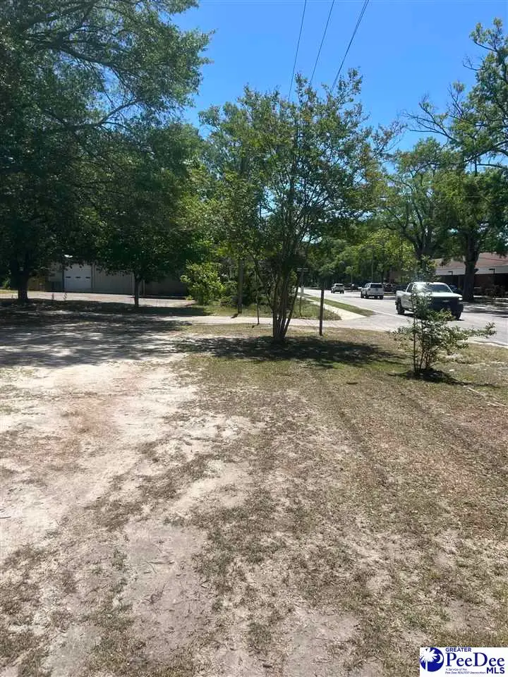 Corner Of S. 4th Street & Davis Avenue, Hartsville, SC 29550 - #3