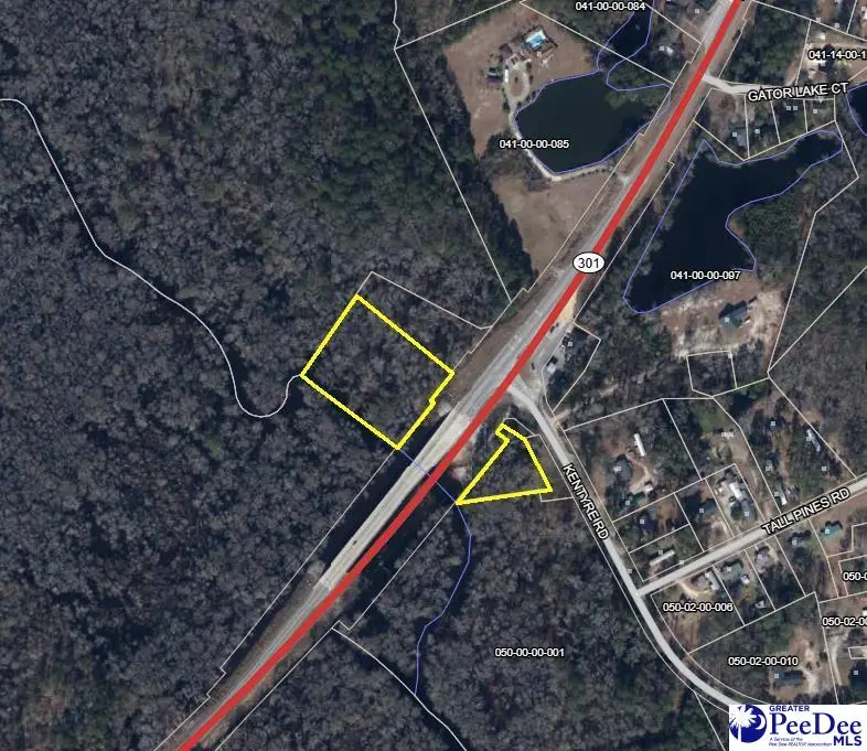 TBD N Highway 301, Dillon, SC 29536 - #1