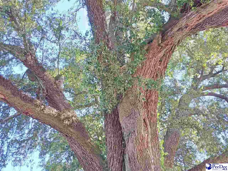 404 Center Street, Bennettsville, SC 29512 - #3