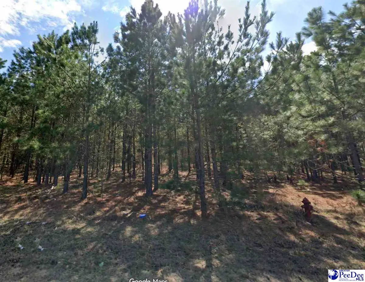 Bullard Ford Rd, Hartsville, SC 29550 - #1